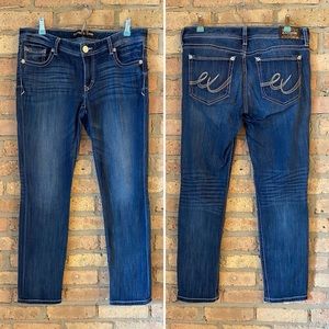 Express | Skinny Stella Low Rise Jeans | 10R